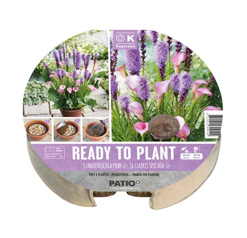 Biodegradable Plant Tray - Summer Flowering